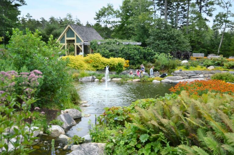 From CMBG site Pond at Coastal Maine Botanical Gardens Boothbay Midcoast Maine 1