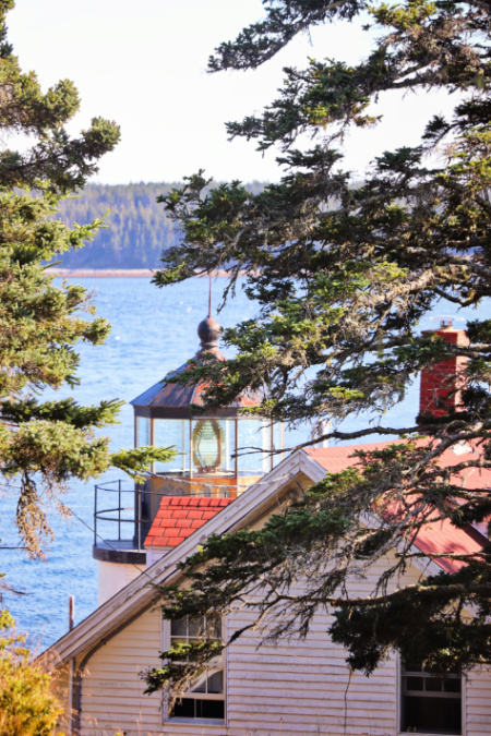 Lantern of Bass Harbor Lighthouse Acadia National Park Maine 2