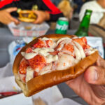 Lobster Roll at McLoons Lobster Shack South Thomaston MidCoast Maine 1