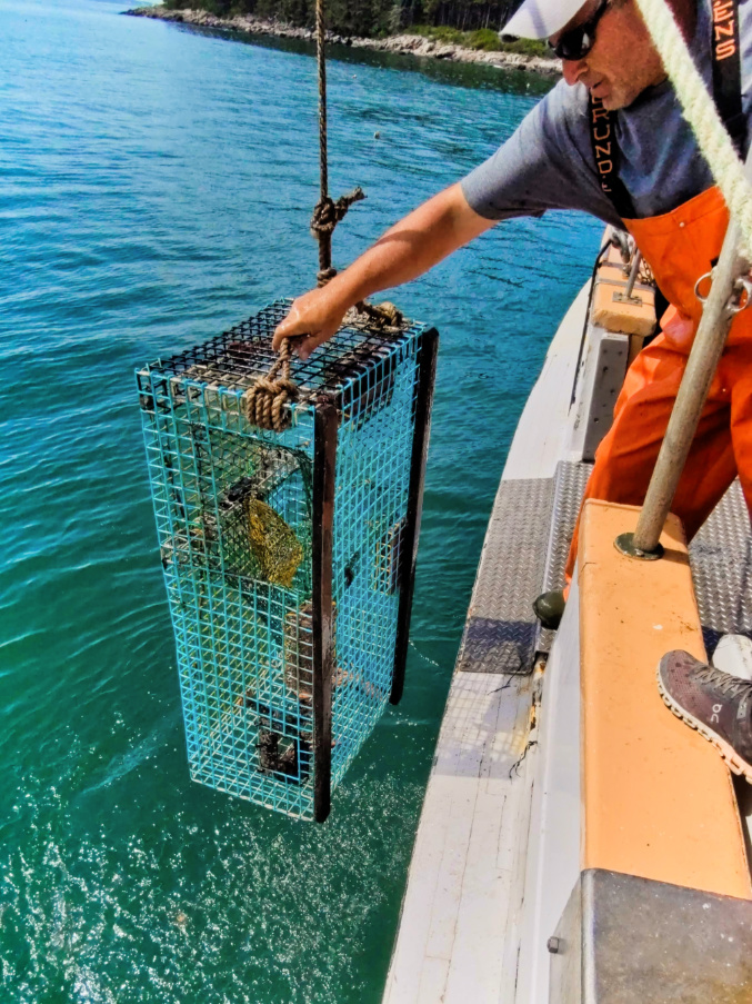 Lobstering Tour with Monhegan Boat Lines in Port Clyde MidCoast Maine 1