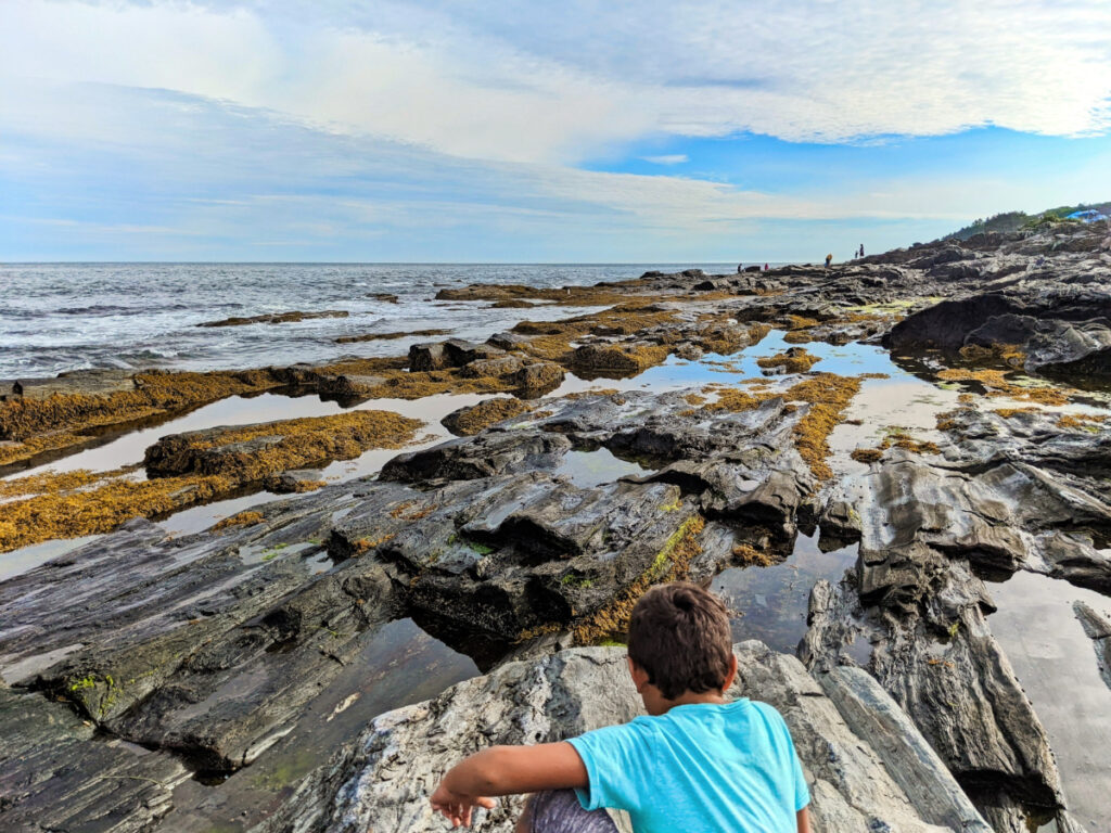 Taylor Family at tidepools at Cape Elizabeth Lighthouse South Portland Maine 1