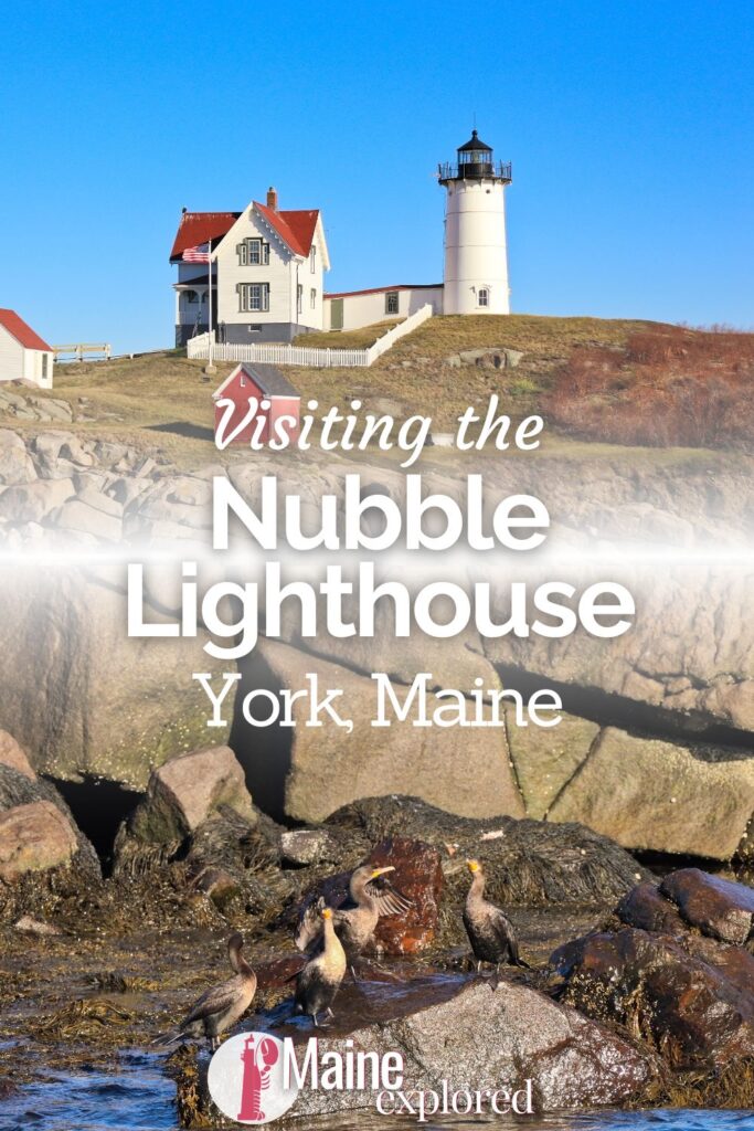 The Nubble Lighthouse at Cape Neddick is one of the most popular lighthouses in Maine. Also an incredible birdwatching spot, see what you'll find at this southern Maine lighthouse destination.
