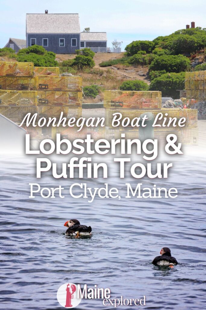 Monhegan Boat Line does the coolest boat tour in MidCoast Maine: the Puffin and Nature Cruise that includes lobstering! See what to expect on this unique summer tour to look for puffins, see Wyeth sights and learn about lobstering from Port Clyde (Rockland) Maine.