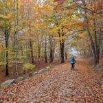 Fall Colors Biking on the Carriage Roads in Acadia National Park Maine 1