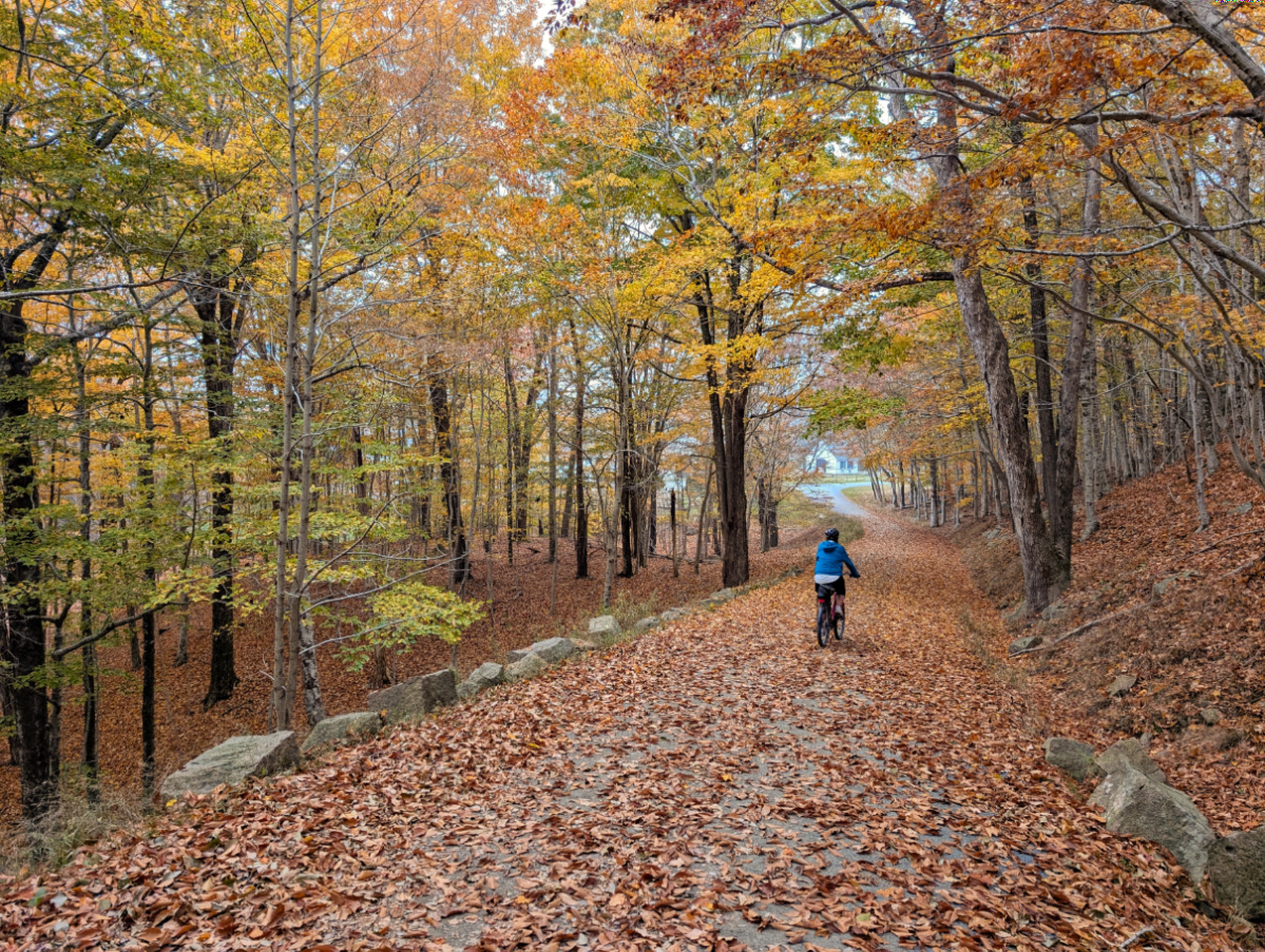 Renting E-bikes at Acadia National Park: Tips for Riding and Navigating the Trails