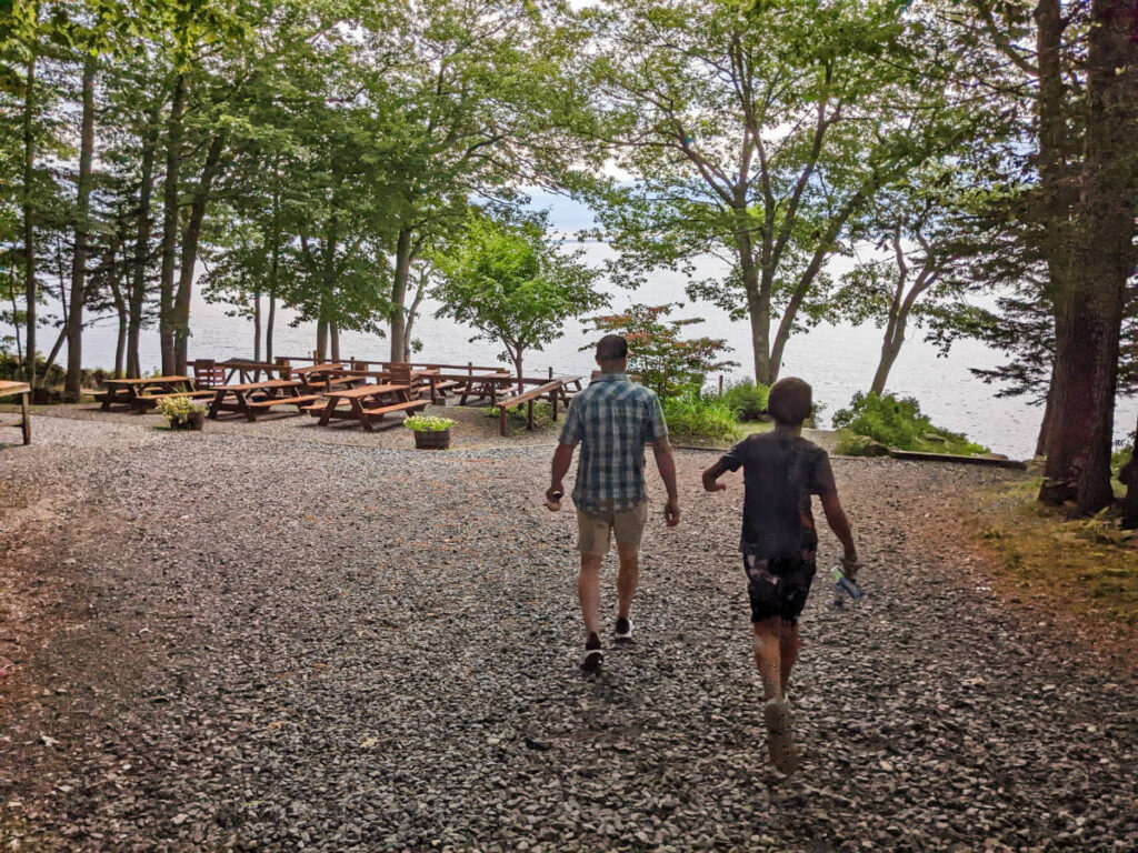 Waterfront Picnic Area at Megunticook Campground Rockport Maine 1
