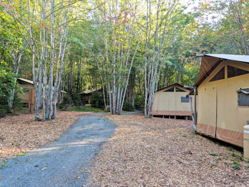Platform Glamping Tents at Terramor Outdoor Resort Acadia National Park Bar Harbor Maine 1