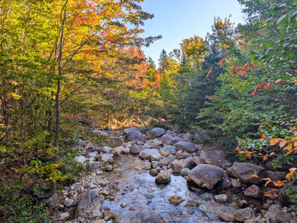 Fall Colors on Roaring Brook Stream in Baxter State Park Millinocket Maine 3