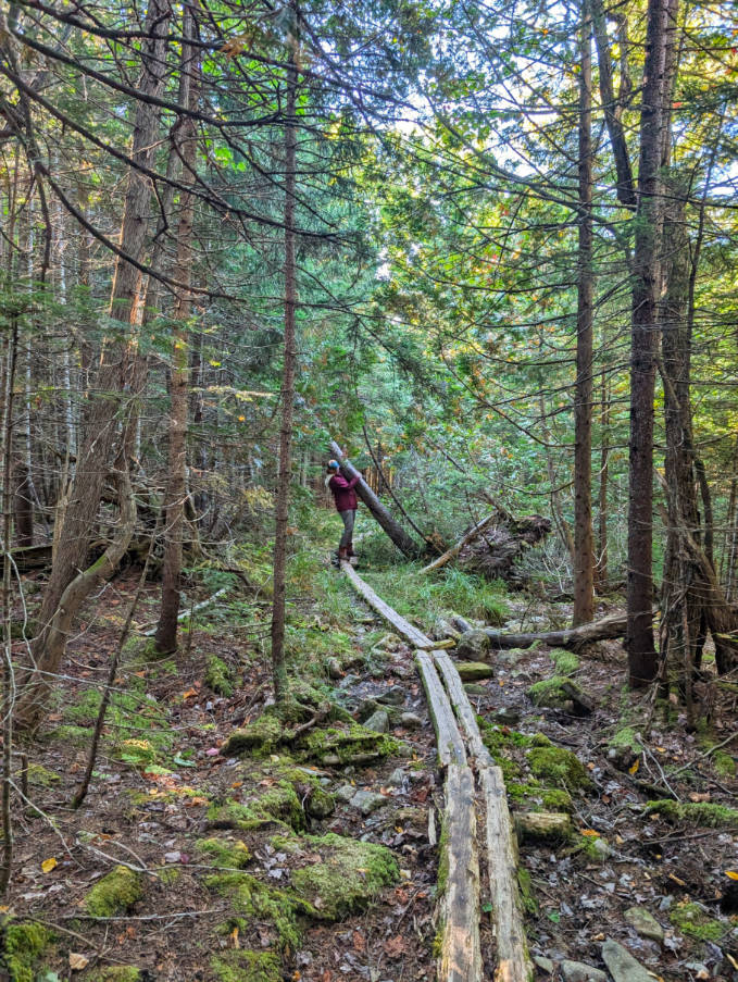Kelly on Sandy Stream Trail in Baxter State Park Millinocket Maine 3