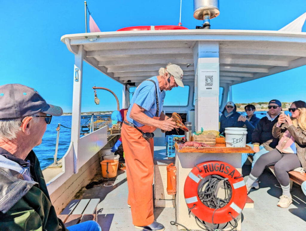Learning about Lobsters on Rugosa Lobster Tour from Kennebunkport Maine 1