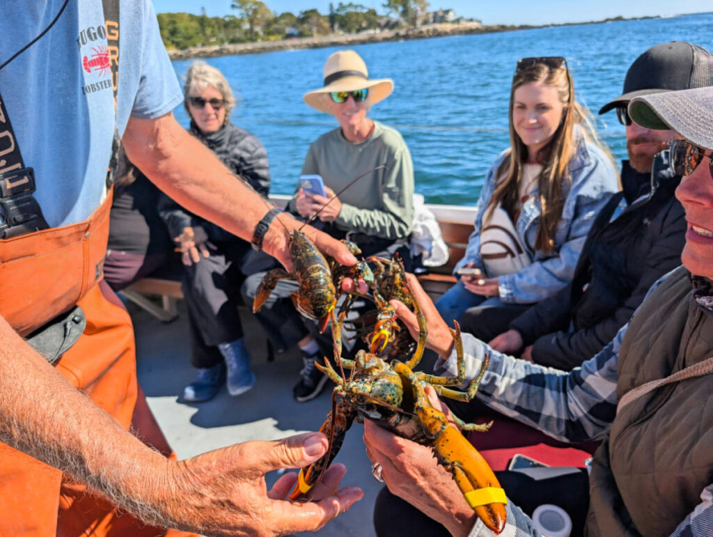Up Close Lobster on Rugosa Lobster Tour Kennebunkport Maine 4