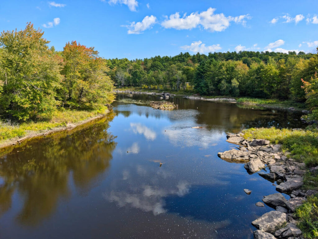 View from DownEast Scenic Railway in Hancock Maine 3