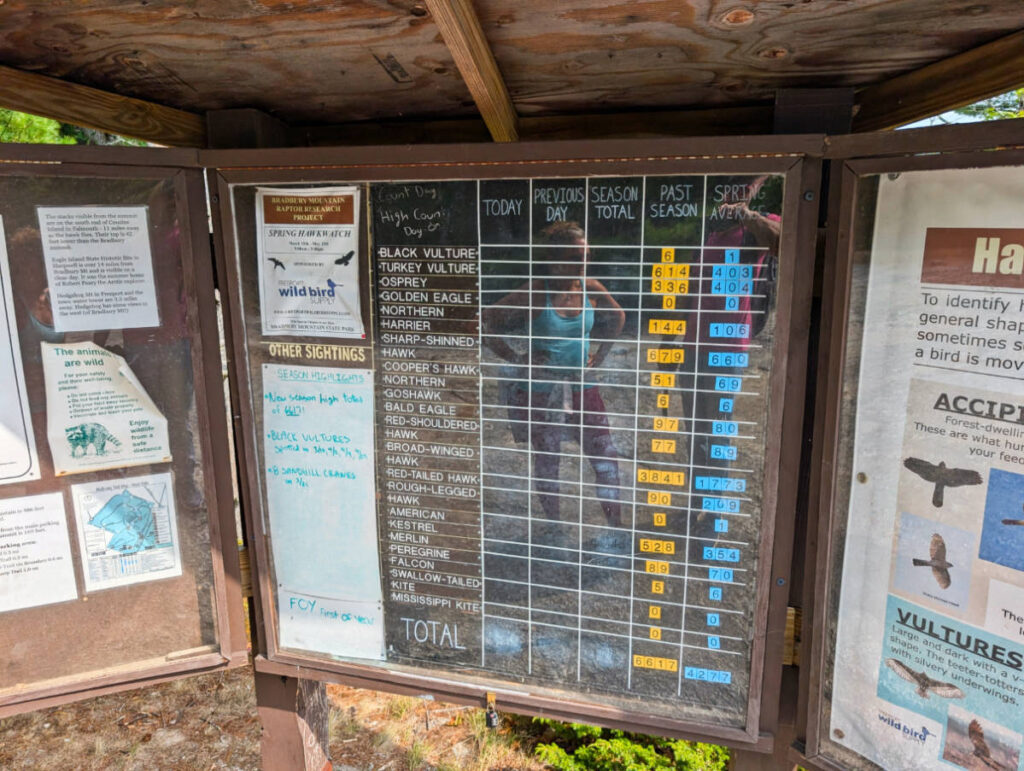Birdwatching Counter at Bradbury Mountain State Park Freeport Maine 1