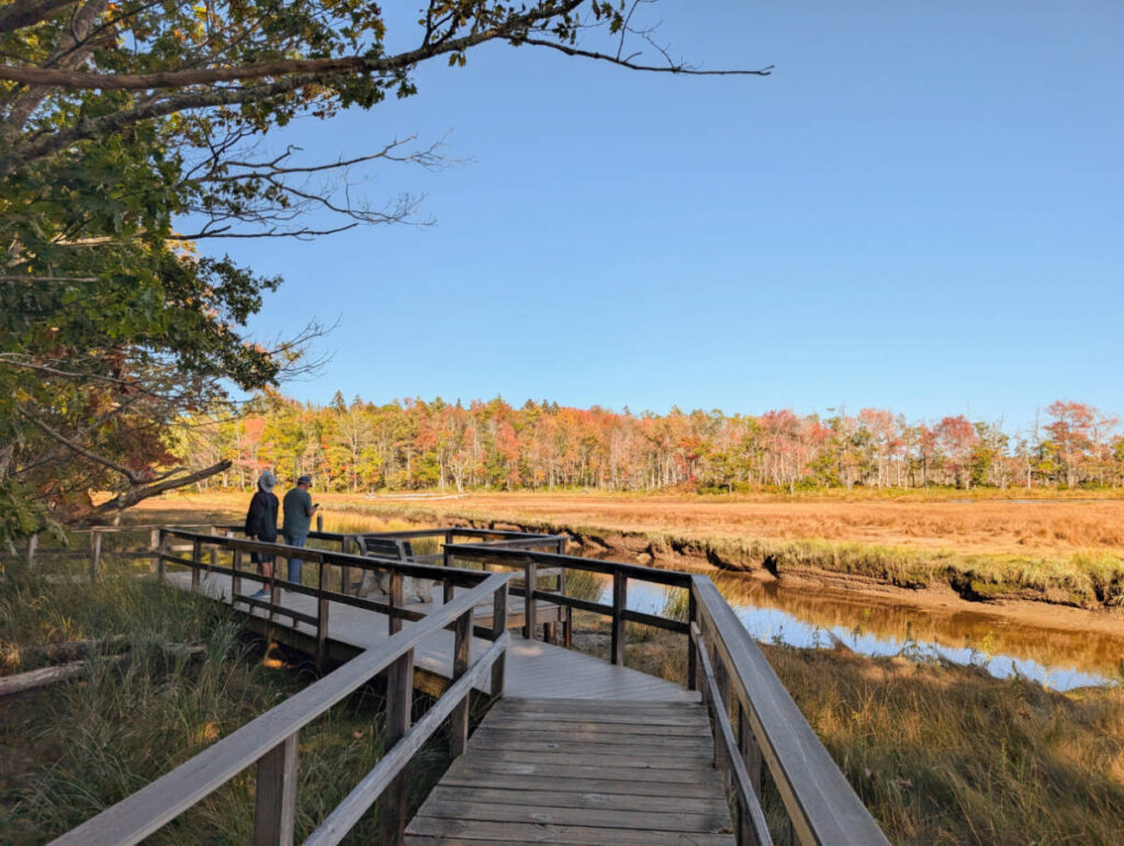 Birdwatching Trail at Rachael Carson National Wildlife Refuge Kennebunkport Maine 2