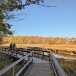 Birdwatching Trail at Rachael Carson National Wildlife Refuge Kennebunkport Maine 2