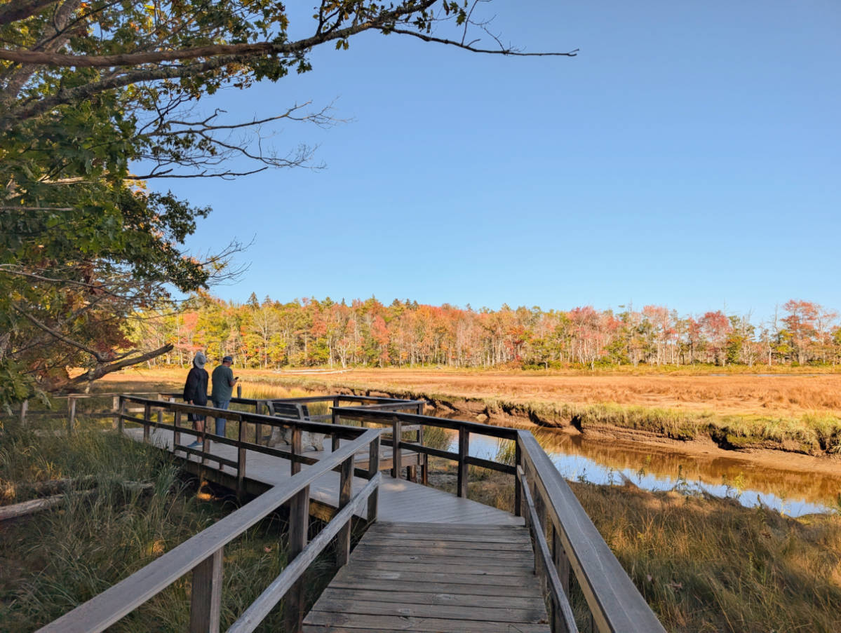 Enjoying the Beautiful Rachel Carson National Wildlife Refuge near Kennebunkport
