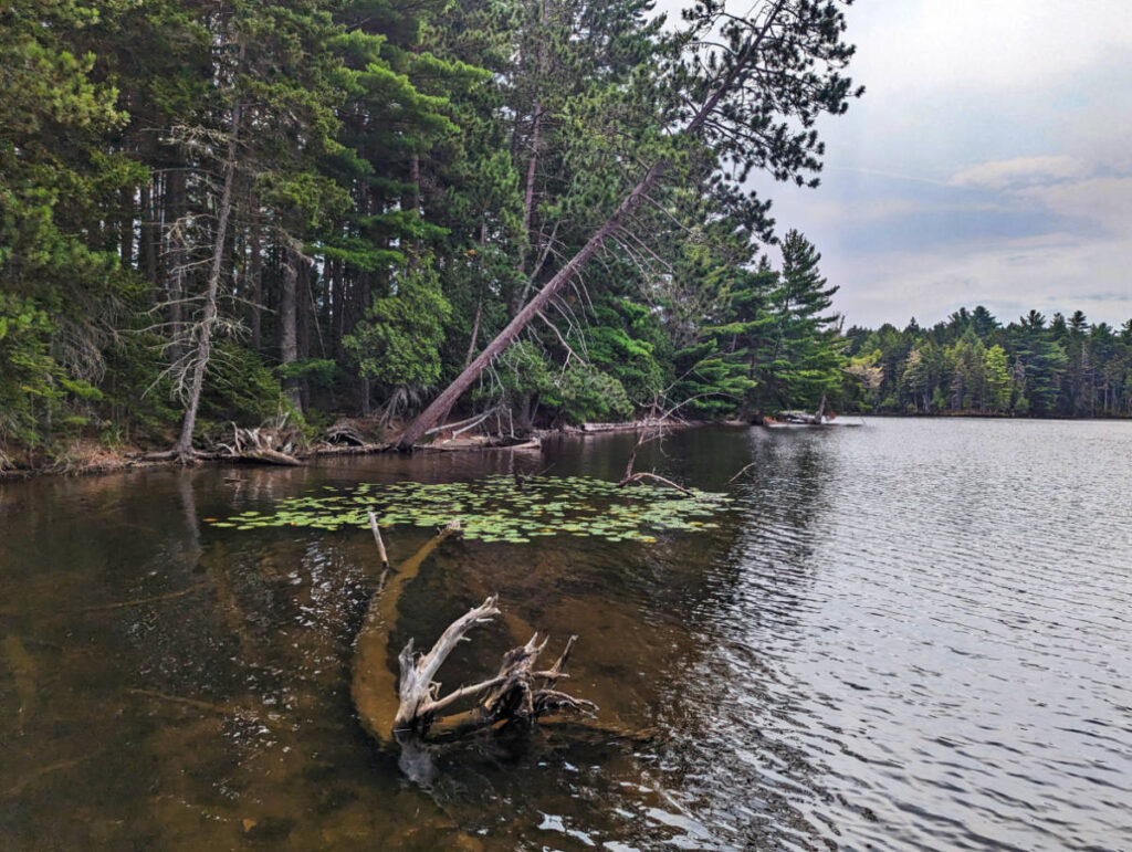 Cove while kayaking at Lily Bay State Park Moosehead Lake Greenville Maine 1