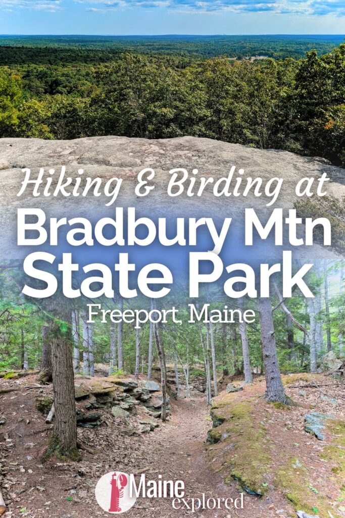 Bradbury Mountain State Park near Freeport is a beautiful hiking and birding destination. With lots of trails for easy hikes or mountain biking, you've got lots of options for how to spend a day here. See what you've find at Bradbury Mountain State Park and how to add it to your trip to Maine.