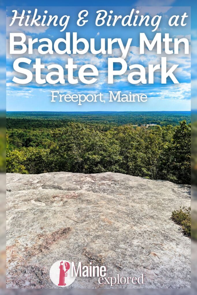 Bradbury Mountain State Park near Freeport is a beautiful hiking and birding destination. With lots of trails for easy hikes or mountain biking, you've got lots of options for how to spend a day here. See what you've find at Bradbury Mountain State Park and how to add it to your trip to Maine.