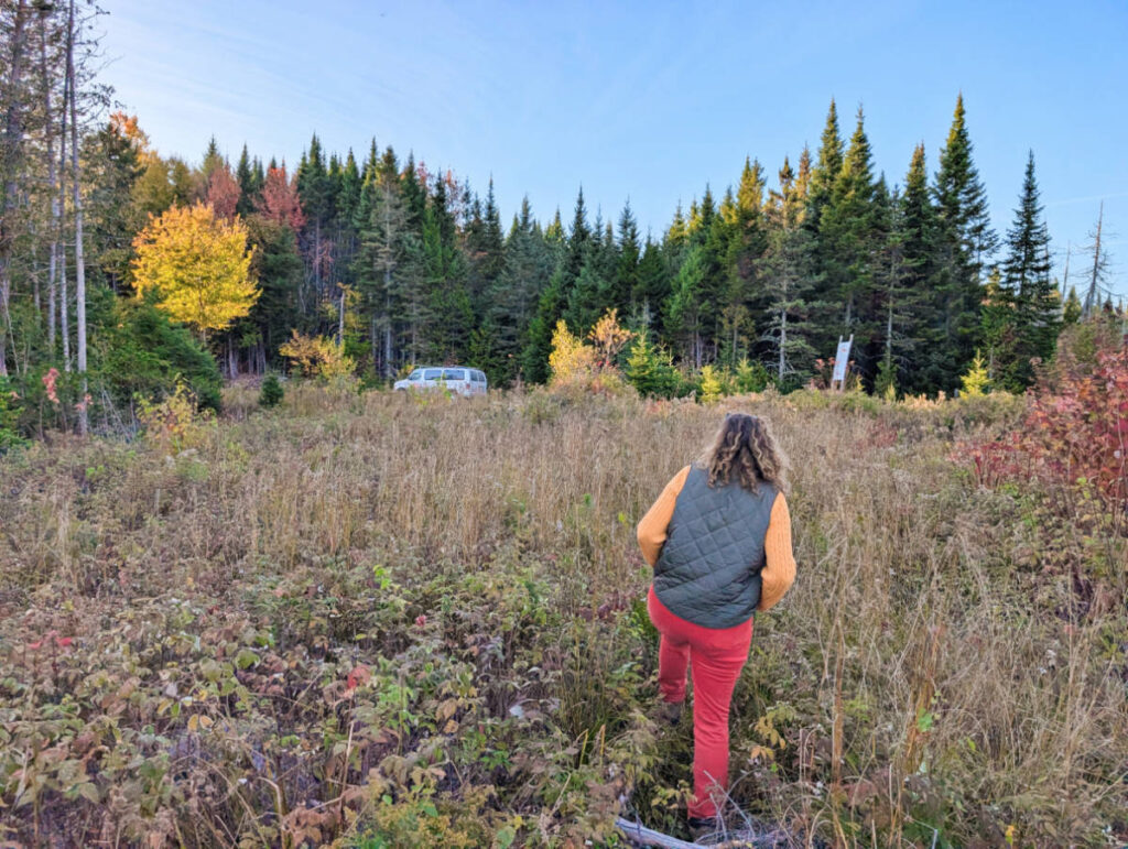 Hiking in Field with Northeast Whitewater Moose Tours Greenville Maine 2