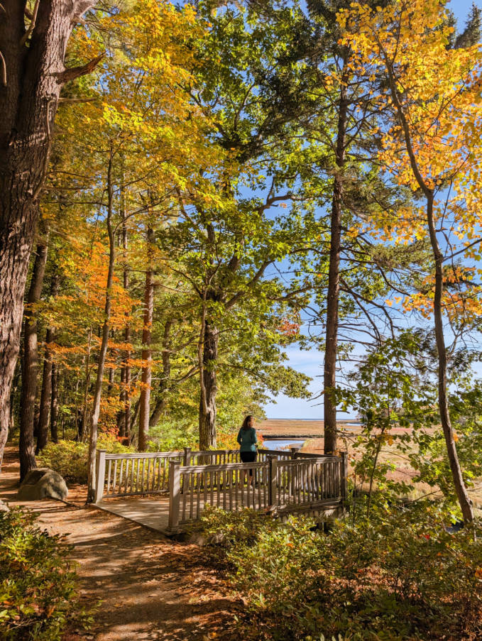 Kelly on Birdwatching Trail at Rachael Carson National Wildlife Refuge Kennebunkport Maine 1