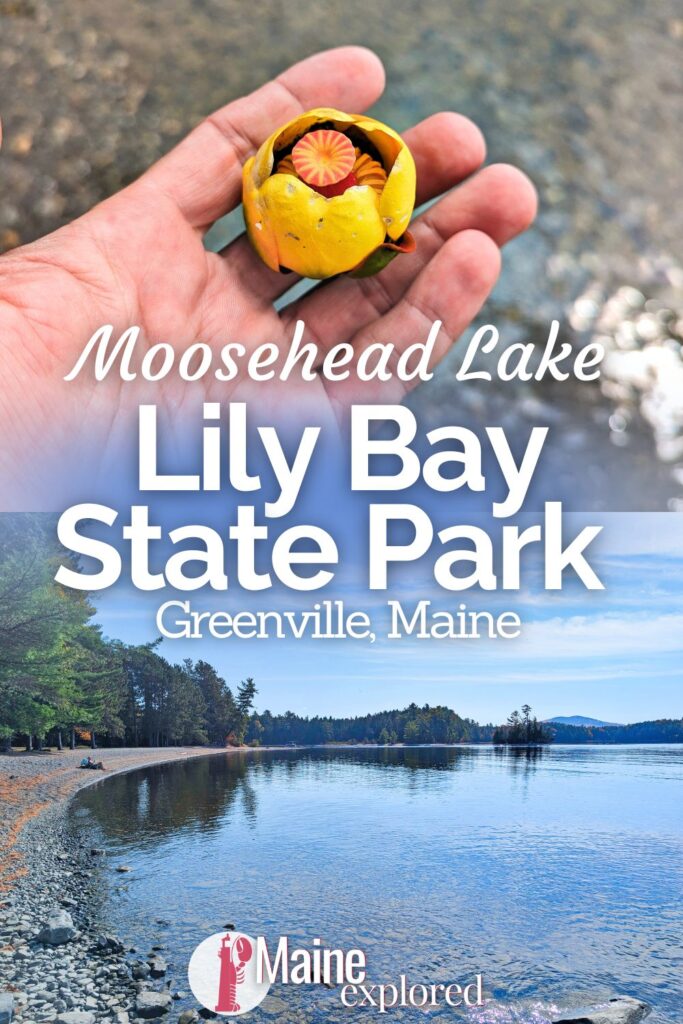 Lily Bay State Park in Greenville is a great place to either swim or get out onto Moosehead Lake. With the shoreline trail, boat launches, camping and more, see what you'll find here at this beautiful state park in the Highlands of Maine.