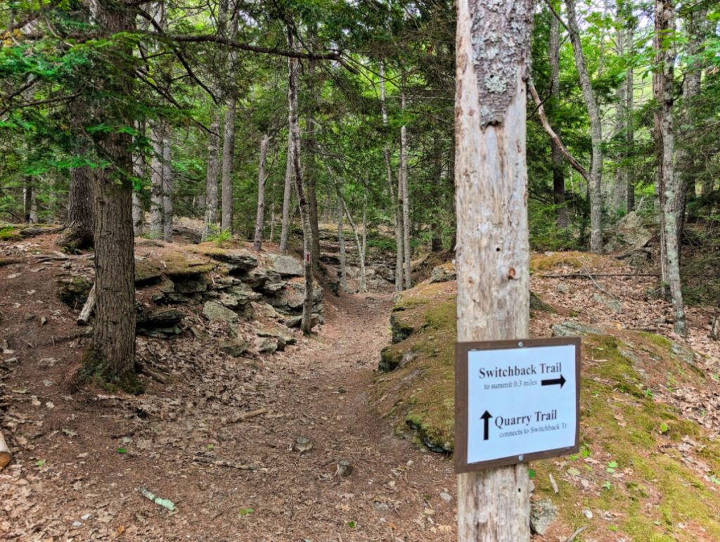 Quarry Trail at Bradbury Mountain State Park Freeport Maine 3