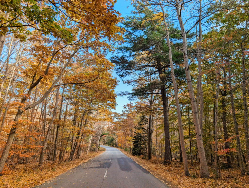 Fall Colors on Park Loop Road in Acadia National Park Maine
